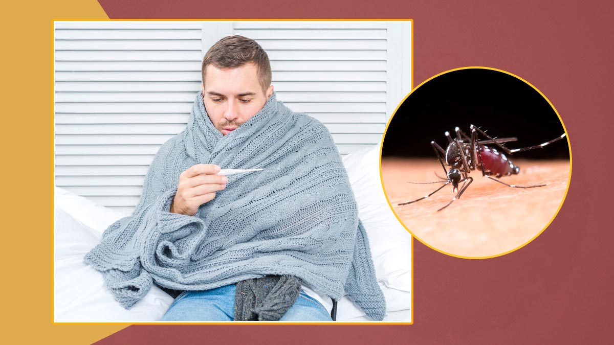 डेंगू बुखार होने पर नजरअंदाज न करें ये 6 लक्षण, बढ़ सकती है परेशानी