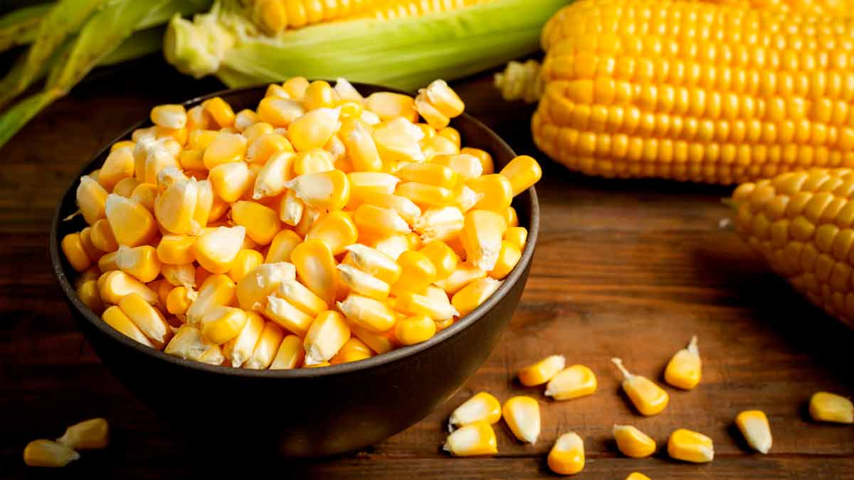 corn benefits in monsoon 