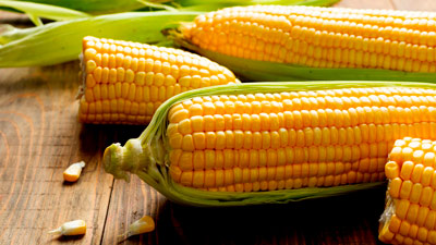 मॉनसून में इन 4 तरीकों से खाएं भुट्टा, सेहत को मिलेंगे ढेर सारे फायदे 