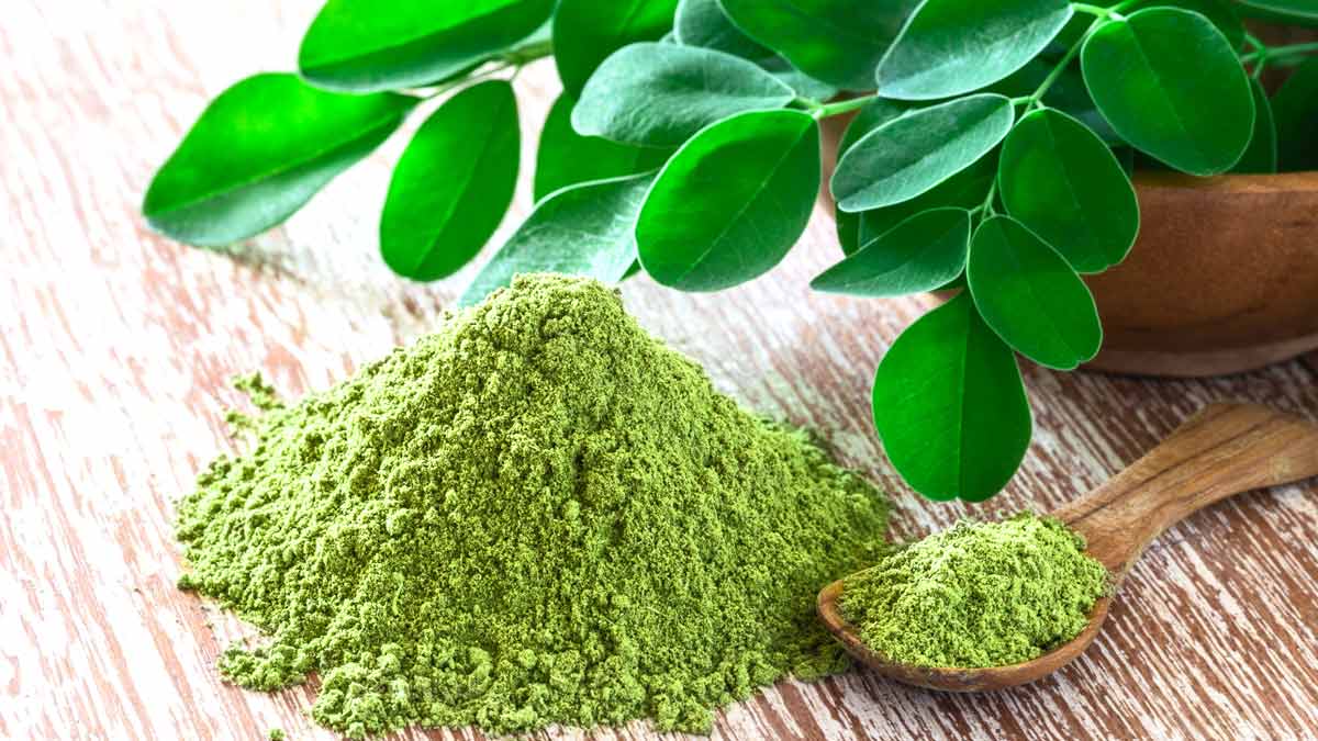 Drumstick leaf tea benefits