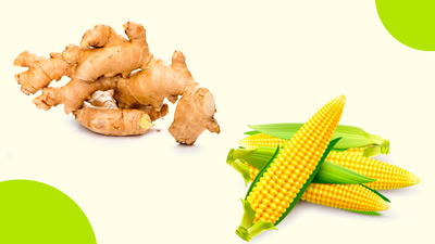 मॉनसून डाइट में शामिल करें ये 5 सुपरफूड्स, बचाएंगे मौसमी बीमारियों से