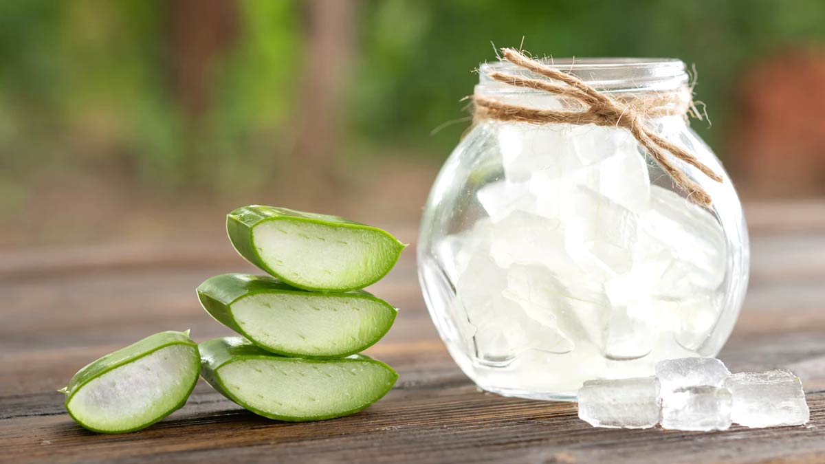 Uses Of Aloe Vera For Babies