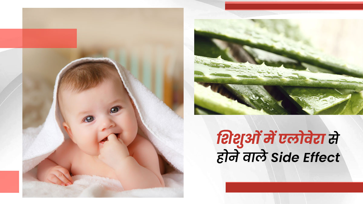 शिशुओं के लिए नुकसानदायक भी हो सकता है एलोवेरा