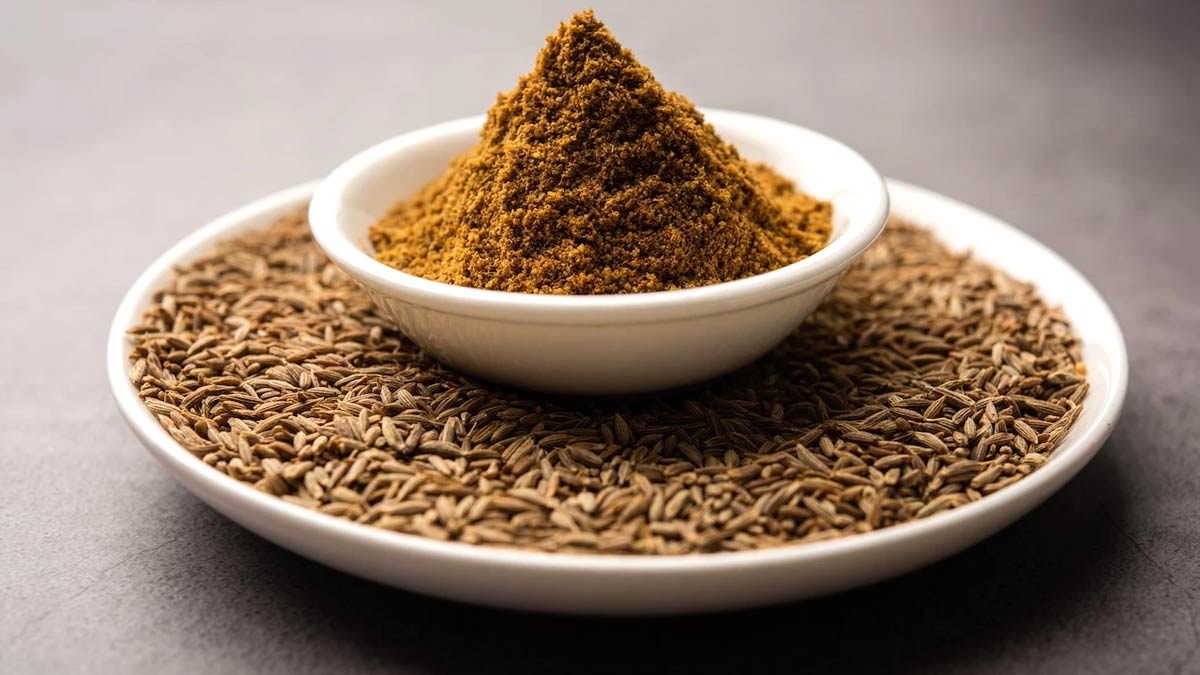 cumin-control-in-uric-acid