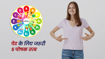 पेट को स्वस्थ रखने के लिए जरूरी हैं ये 5 पोषक तत्व, जानें इनके स्रोत