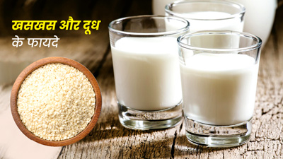 दूध में खसखस (पोस्ता दाना) डालकर पीने से शरीर को मिलते हैं ये जबरदस्त फायदे