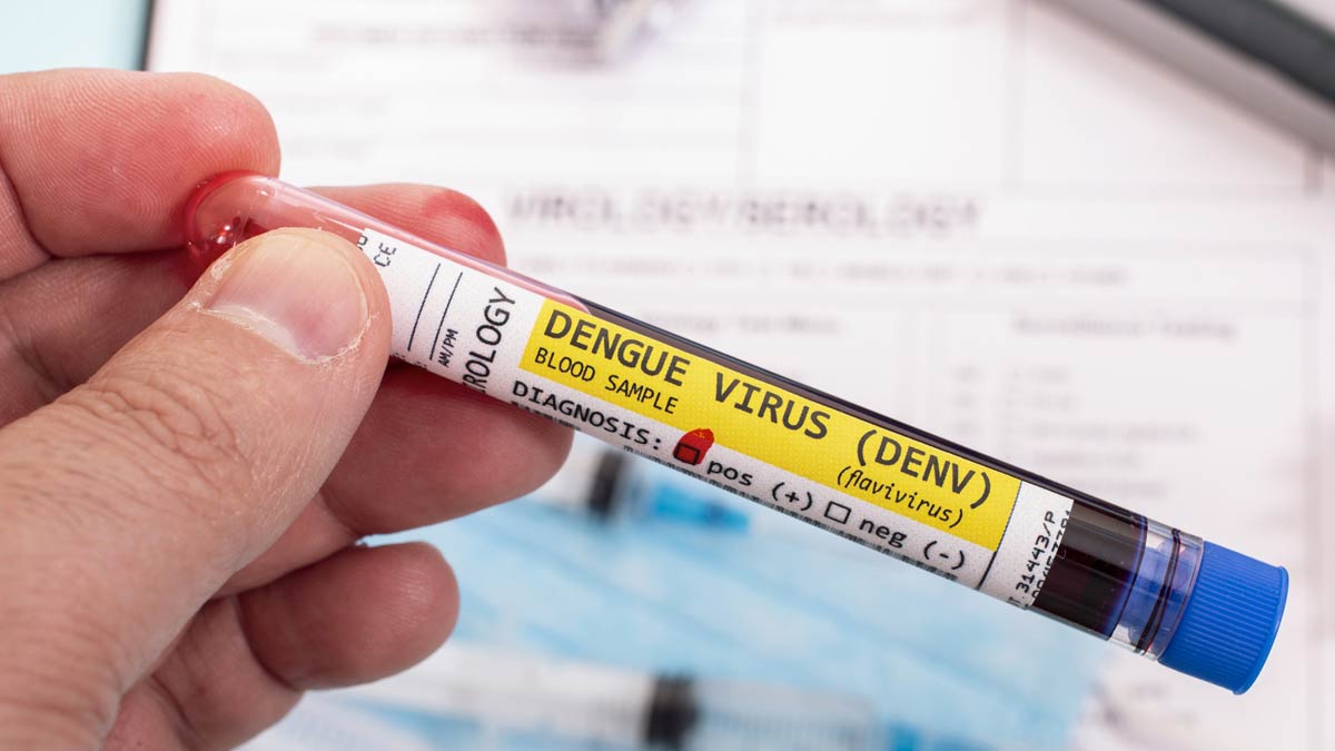 dengue in monsoon