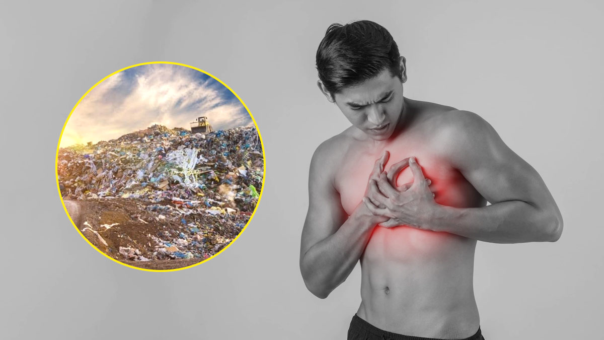 मिट्टी के प्रदूषित होने से बढ़ रहा हृदय रोगों का खतरा, जानें कैसे पेस्टिसाइड्स खराब कर रहे सेहत