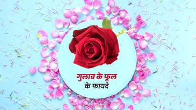 वजन घटाने से खूबसूरती बढ़ाने तक, संजीव कपूर से जानें गुलाब का फूल खाने के फायदे