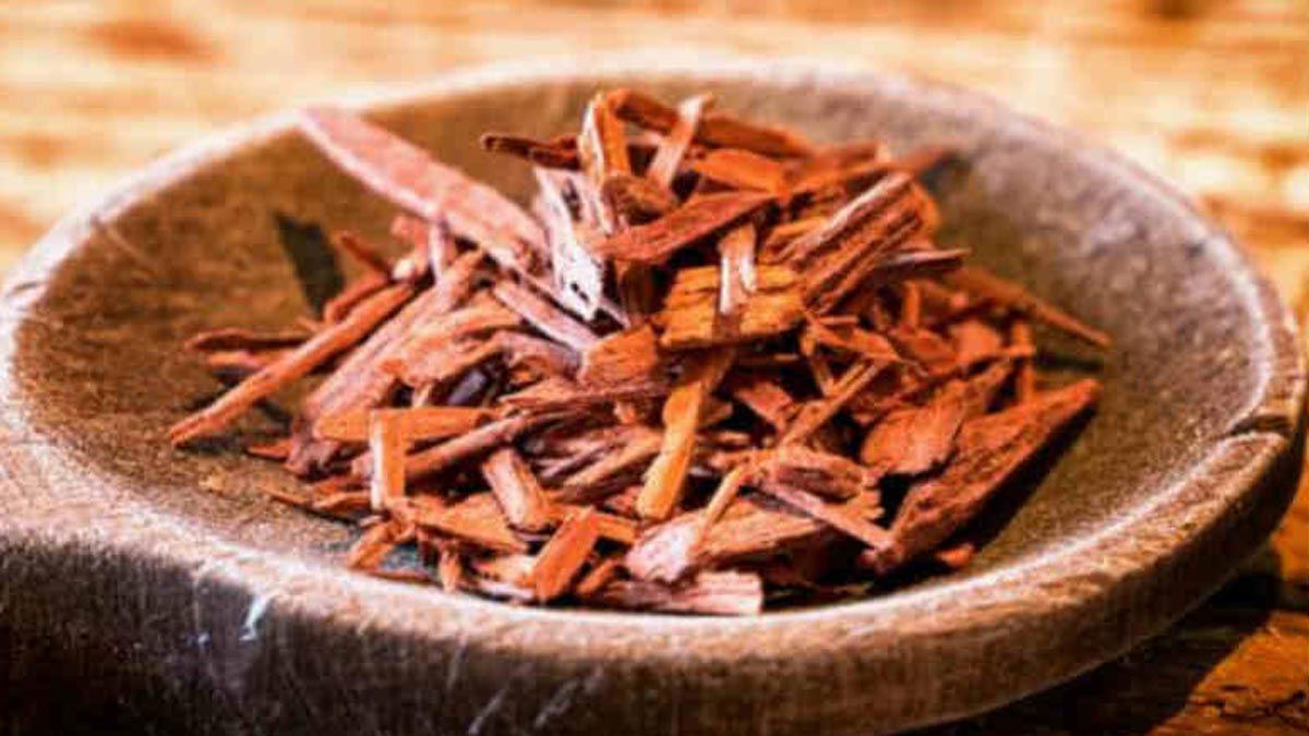 red sandalwood use 