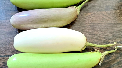 सफेद बैंगन खाने से सेहत को मिलते हैं ये 6 फायदे, कई स्वास्थ्य समस्याएं रहती हैं दूर