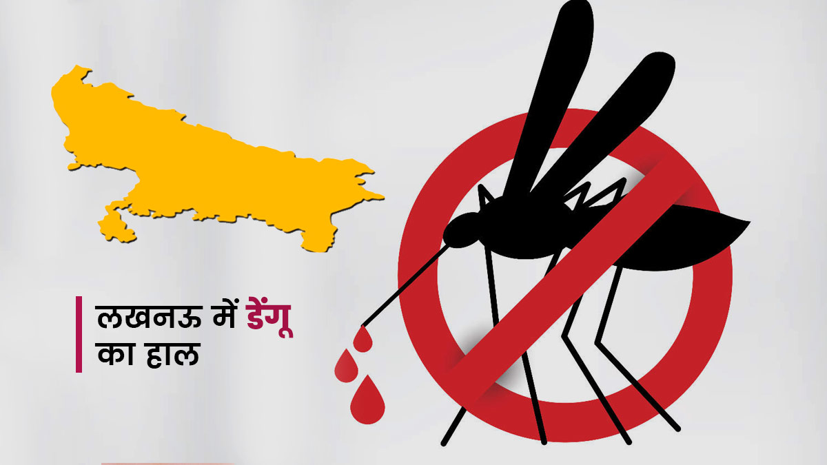 2015 से अब तक यूपी में डेंगू के 68,965 केस और 145 मौतें हुईं दर्ज, आंकड़ों से समझें राजधानी लखनऊ का हाल