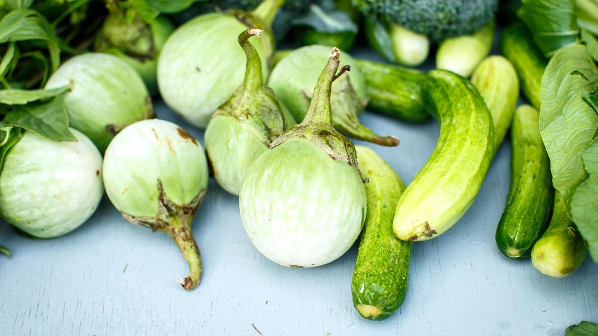 folic acid best food sources