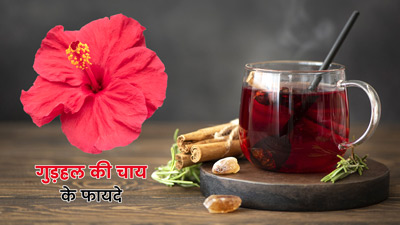 Hibiscus Tea: गुड़हल की चाय पीने से सेहत को मिलते हैं ये 7 अनोखे फायदे, जानें रेसिपी