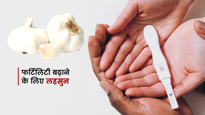 Garlic for Fertility:  लहसुन से महिलाओं और पुरुषों की बढ़ सकती है फर्टिलिटी, जानें कैसे?