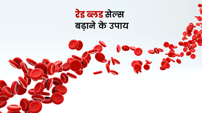 रेड ब्लड सेल्स बढ़ाने के लिए जरूरी होते हैं ये 5 पोषक तत्व, जानें इनके लिए क्या खाएं