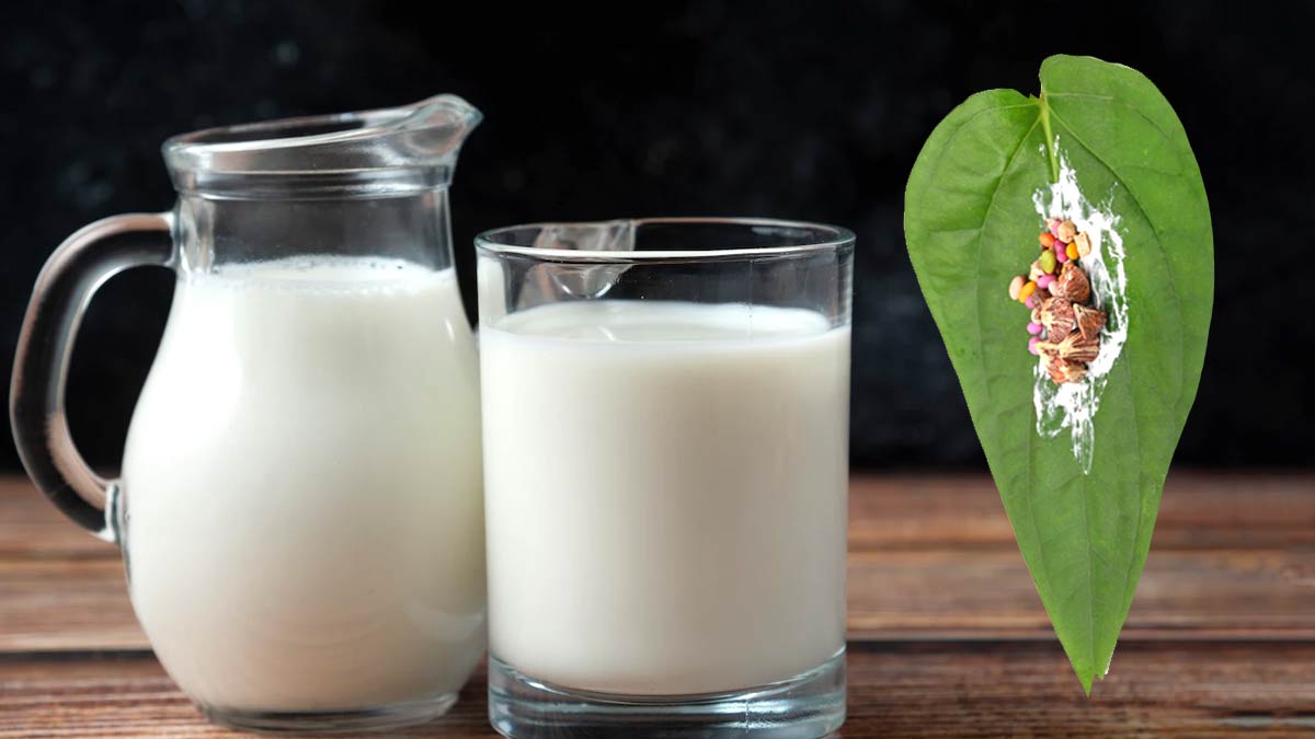  Drinking Milk After Eating Betel Leaf effects