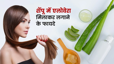 Aloe Vera For Hair: शैंपू में एलोवेरा जेल मिलाकर लगाएं, बालों को मिलेंगे ये 5 फायदे