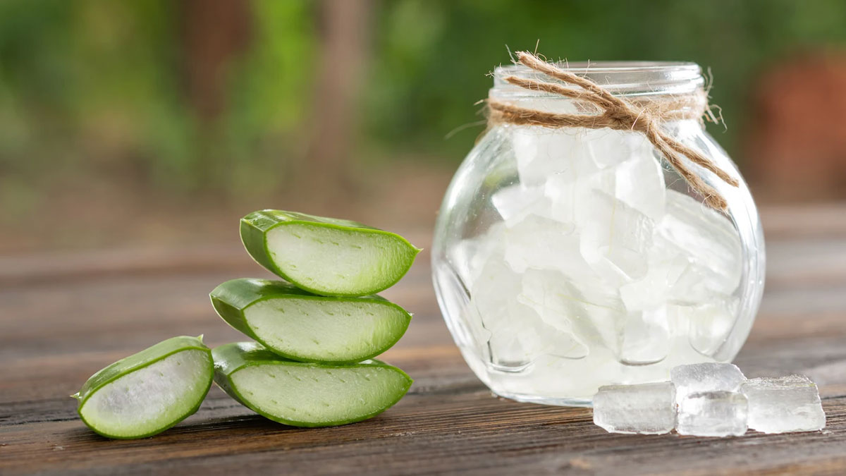 aloevera gel use 