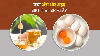 क्या अंडा और शहद साथ में खा सकते हैं? जानें एक्सपर्ट से