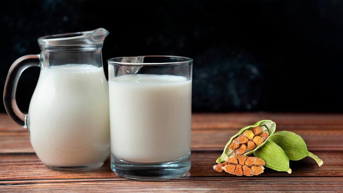 रात में इलायची वाला दूध पीने से मिलते हैं ये 5 फायदे,  कई बीमारियां होंगी दूर 