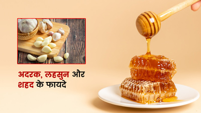 अदरक, लहसुन और शहद एक साथ खाने से मिलते हैं ये 6 फायदे