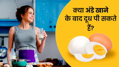 अंडा खाने के बाद दूध पीना चाहिए या नहीं? जानें एक्सपर्ट की राय