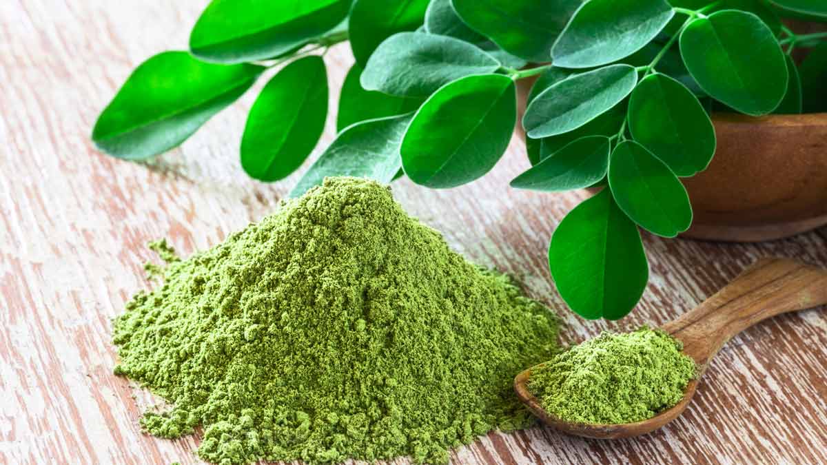 Drumstick Or Moringa Powder Benefits