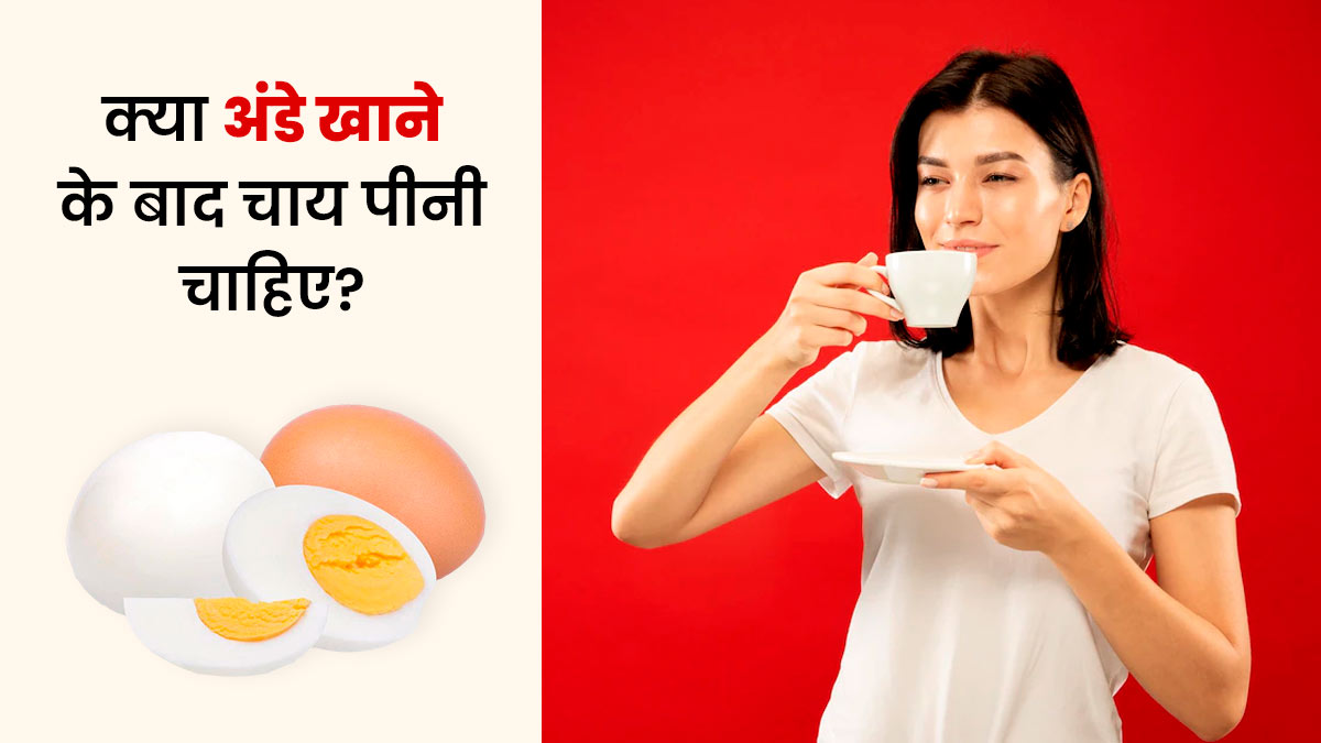 अंडा खाने के बाद चाय पीनी चाहिए या नहीं? जानें एक्सपर्ट की राय