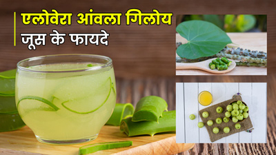 एलोवेरा, आंवला और गिलोय जूस पीने से शरीर को मिलते हैं ये 5 फायदे
