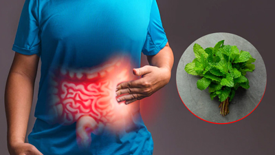 अपच की समस्‍या दूर करने के ल‍िए पुदीना का इस्‍तेमाल कैसे करें? आयुर्वेद‍िक डॉक्‍टर से जानें सही तरीका 