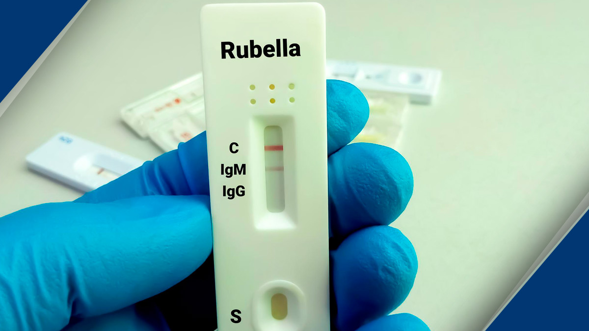 Rubella Disease in Wheat in Hindi
