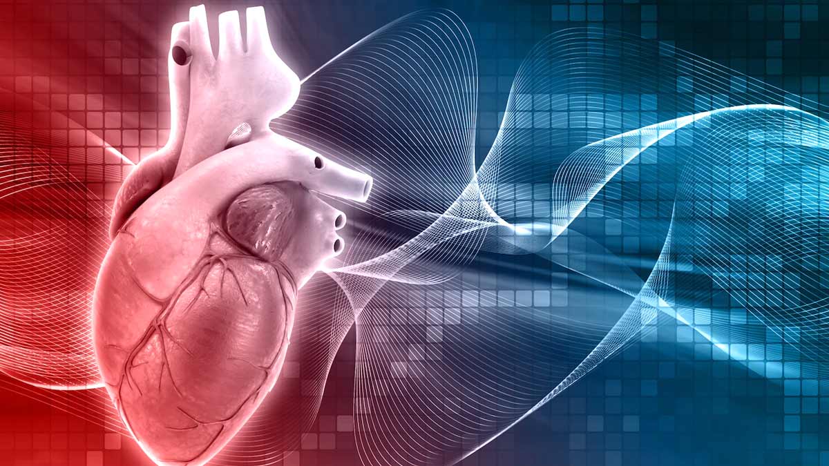 heart blockage symptoms