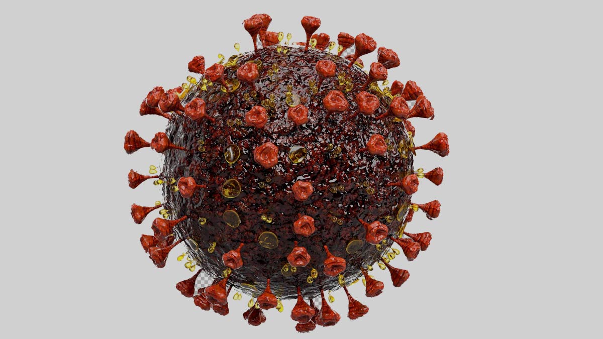 norovirus outbreak in kerala