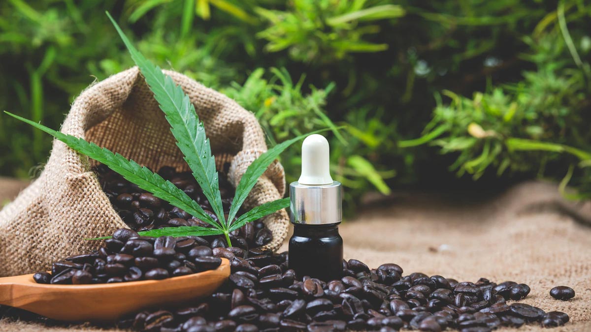 Coffee oil