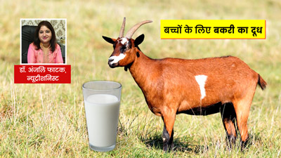 क्या बच्चों के लिए फायदेमंद होता है बकरी का दूध? जानें किस उम्र से पिलाएं इसे