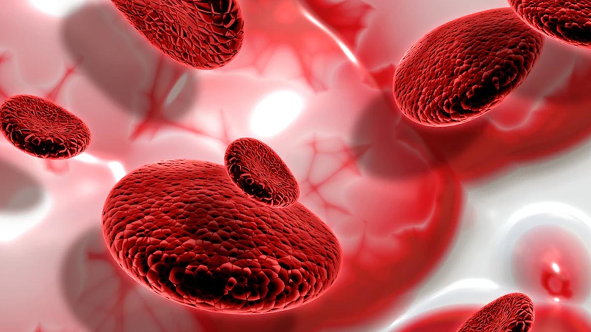 makhana for anemia