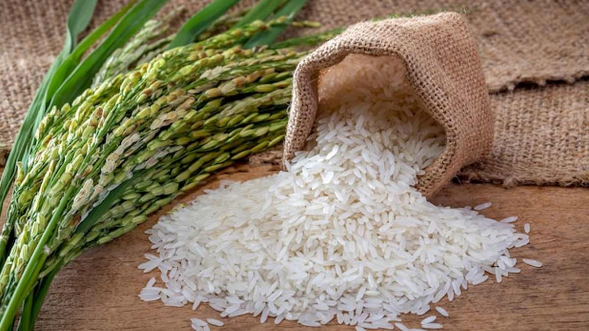 Rice Benefits In Loose Motions