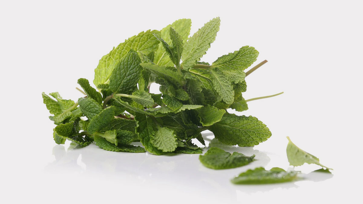 Mint For Reduce Bloating