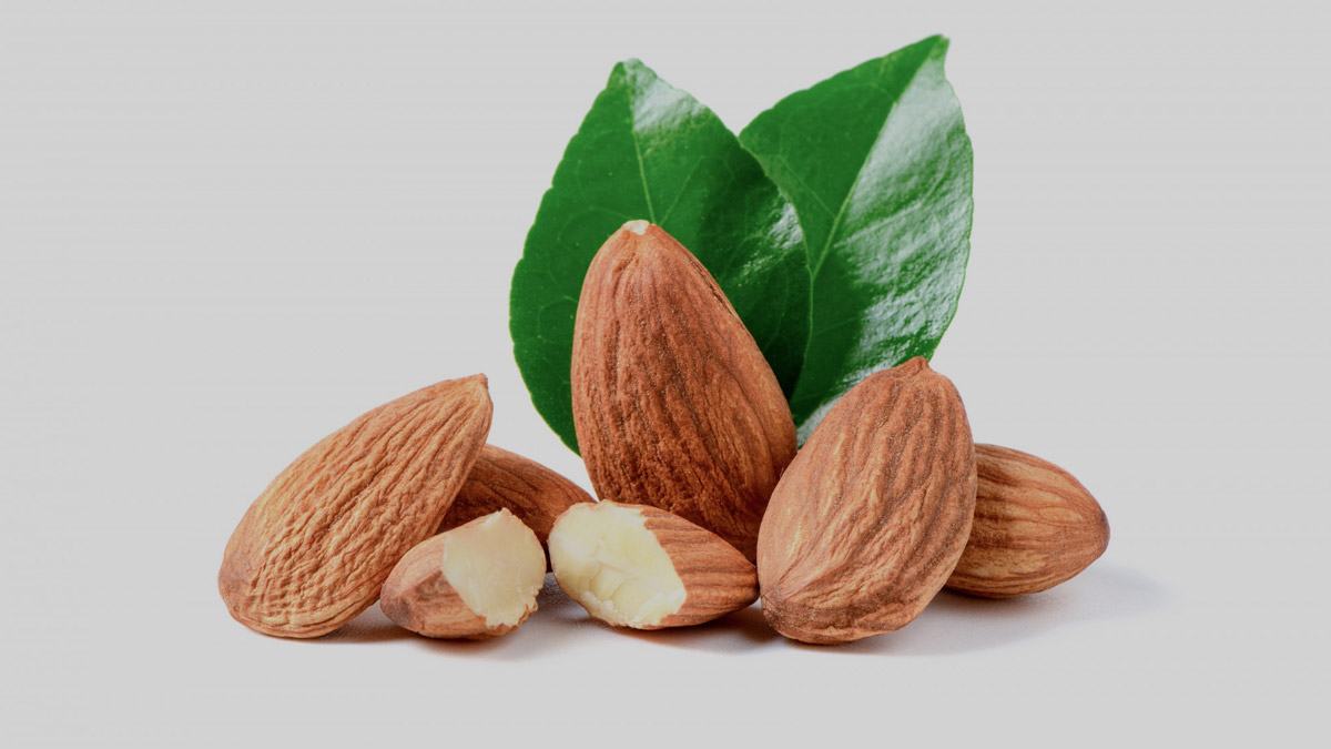 Almond varieties 