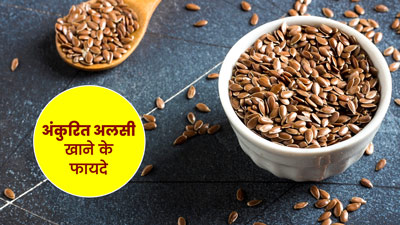अंकुरित अलसी खाने के क्या फायदे हैं? जानें कैसे करें सेवन