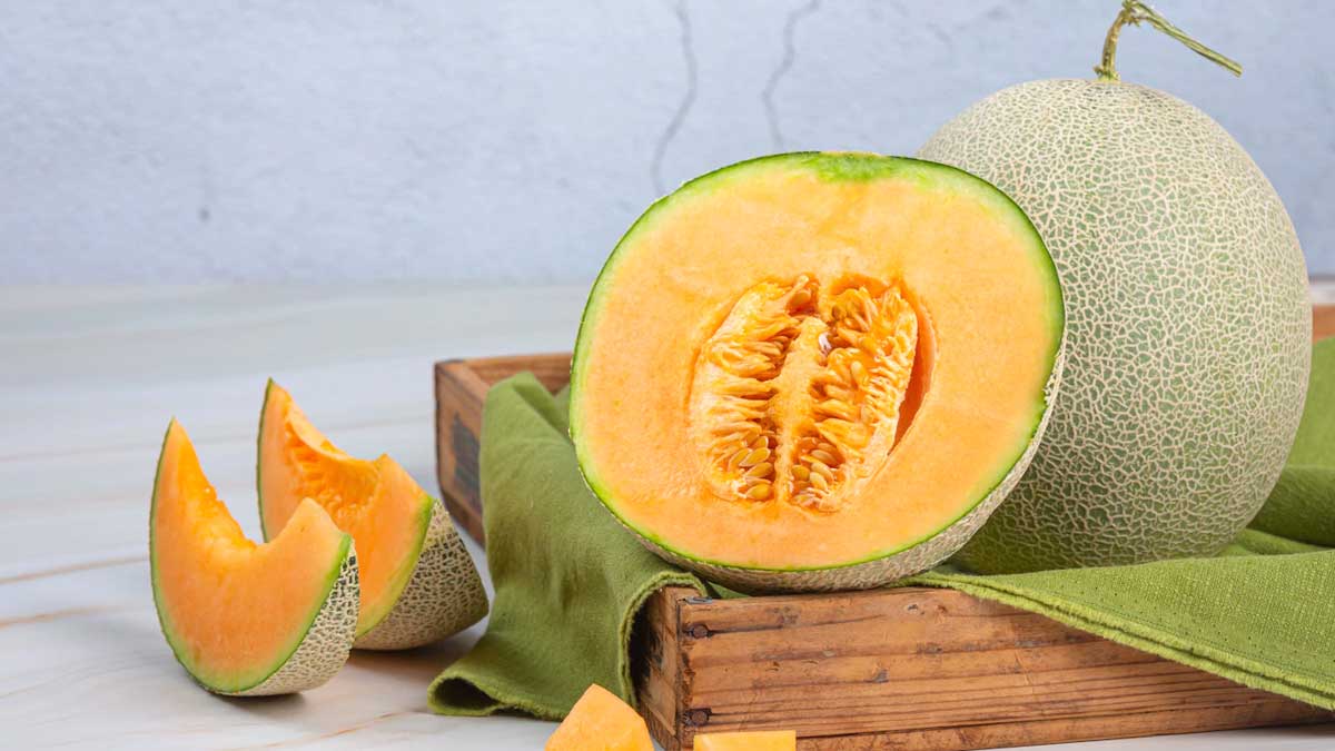 muskmelon benefits in hindi