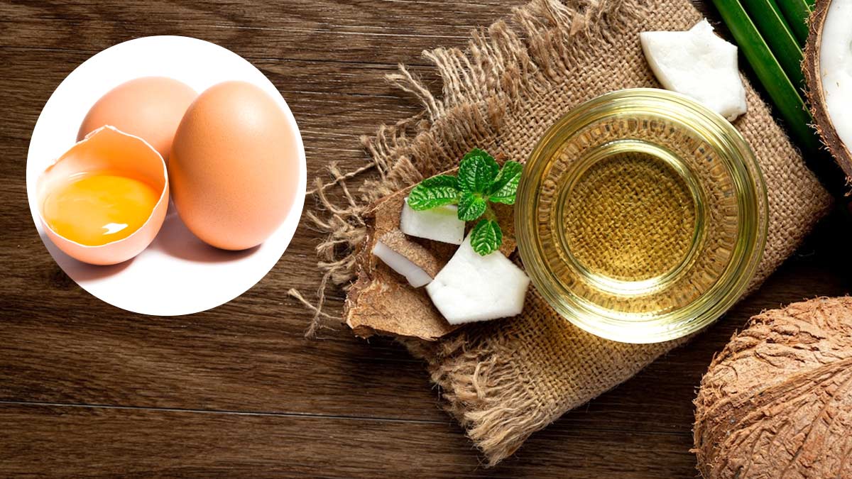 egg and coconut oil hair mask benefits