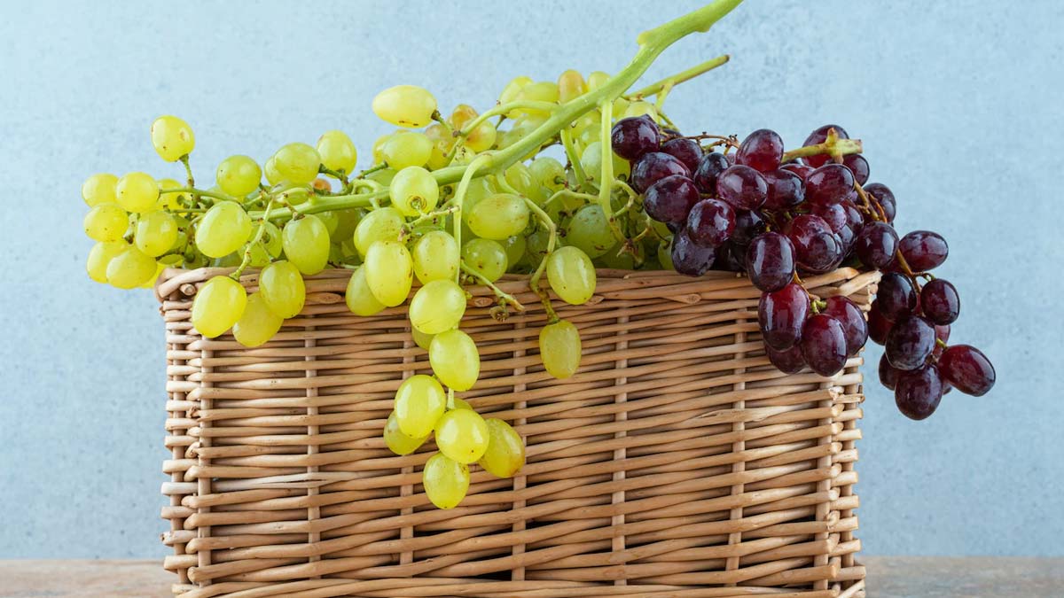 the-truth-about-diabetics-and-grapes-risks-and-benefits-archyde