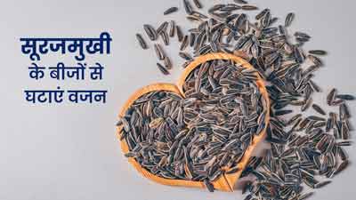 वजन घटाने में असरदार हैं सूरजमुखी के बीज, रोजाना इस तरह करें सेवन