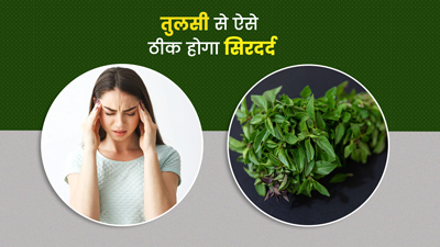 तेज सिरदर्द कम करने में मदद कर सकती है तुलसी, इन तरीकों से करें इस्तेमाल