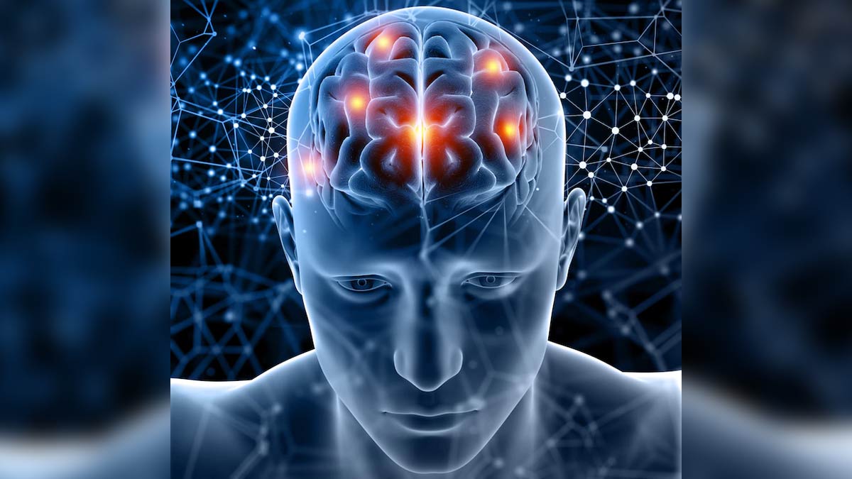 brain-function