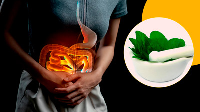 एस‍िड‍िटी होने पर इन 5 तरीकों से इस्‍तेमाल करें तुलसी, जल्‍द म‍िलेगा आराम 