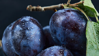 जामुन खाने का सही समय क्या है? क्या जामुन खाने के बाद पानी पी सकते हैं?