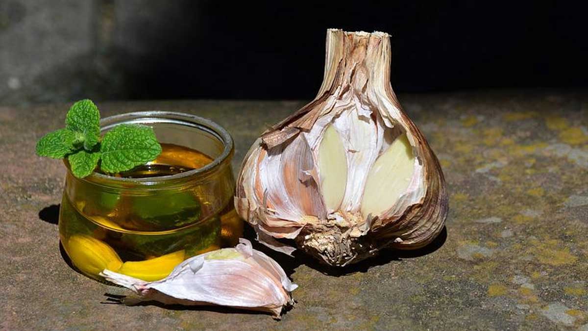 बालों की ग्रोथ बढ़ाता है लहसुन का तेल, जानें इसके फायदे और बनाने का तरीका